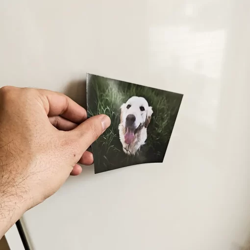 Magneettipaperi omalla kuvalla - Image 3